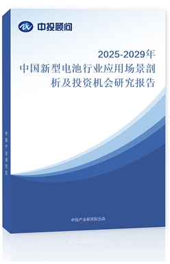 2025-2029Ї(gu)늳ИI(y)(yng)È(chng)ͶYC(j)(hu)о(bo)