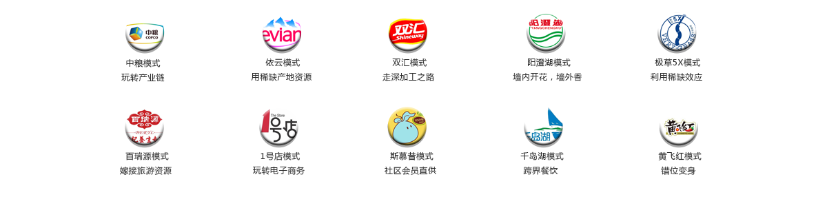 農(nóng)業(yè)企業(yè)戰(zhàn)略模式